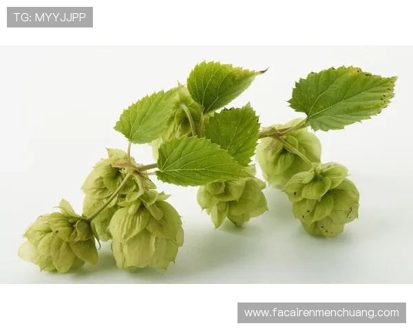 深入探讨PA亚娱在全球市场布局中的优势与挑战应对策略 深入探讨PA亚娱在全球市场布局中的优势与挑战应对策略