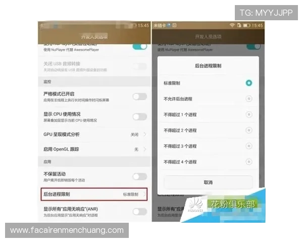 凯发客户端如何优化游戏性能提升流畅度的实用技巧全攻略